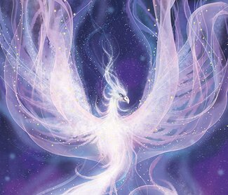 Transformationskelch